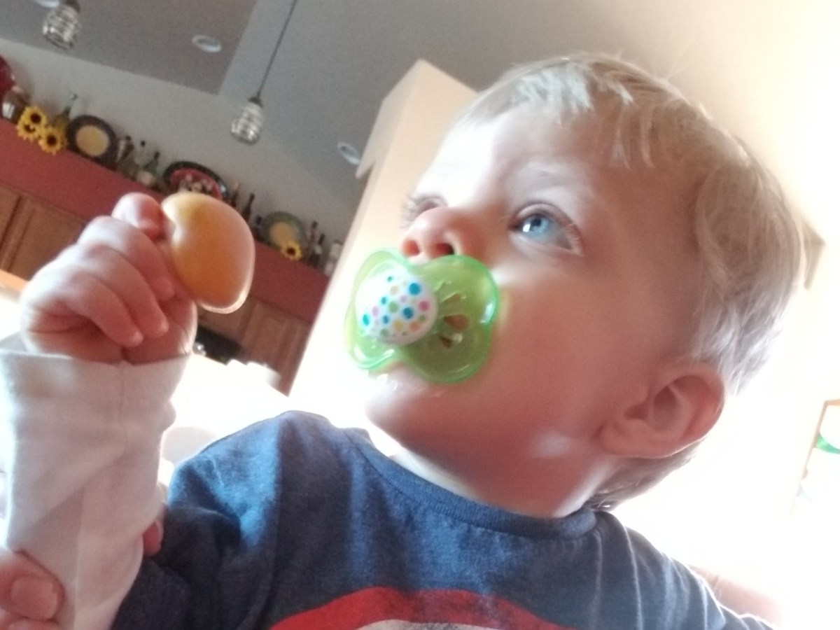 Remotes, Fans, and Baby Doll&nbsp;Head